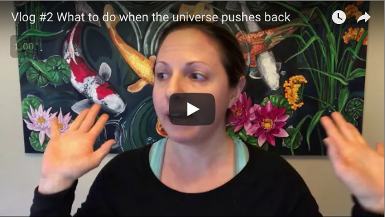 Vlog #2 What to do when the universe pushes back